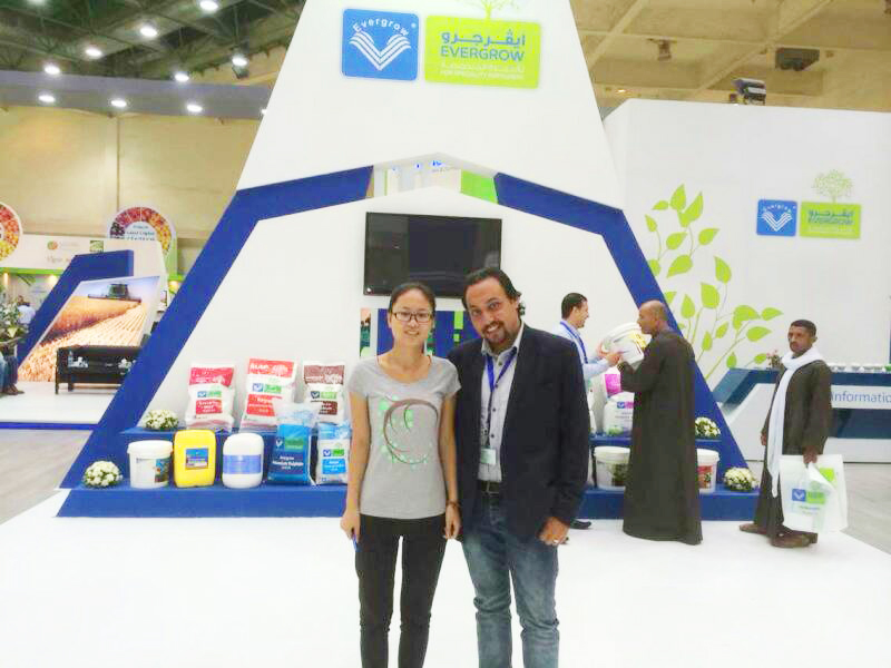 2014年9月埃及展(zhǎn) 2014年9月埃及展