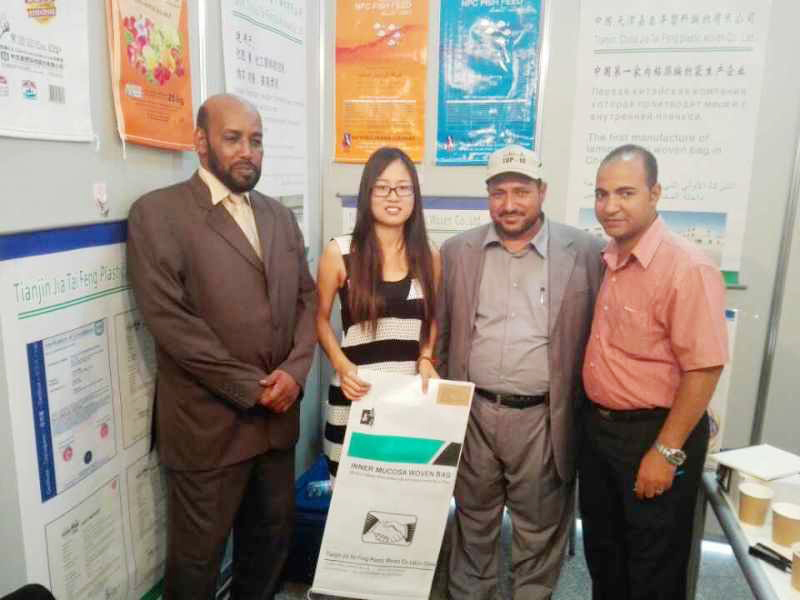 2014年9月(yuè)埃及展4