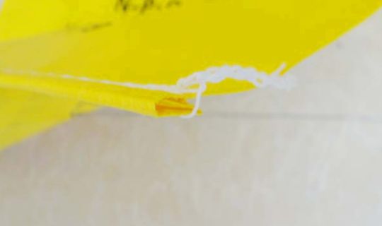 內粘膜編織（zhī）袋-25KG全黃