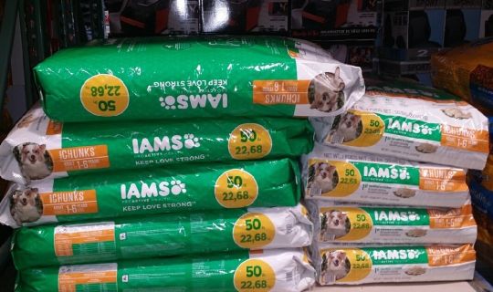 参加第119届广交会我司新型自粘方（fāng）包袋引起不小（xiǎo）轰动